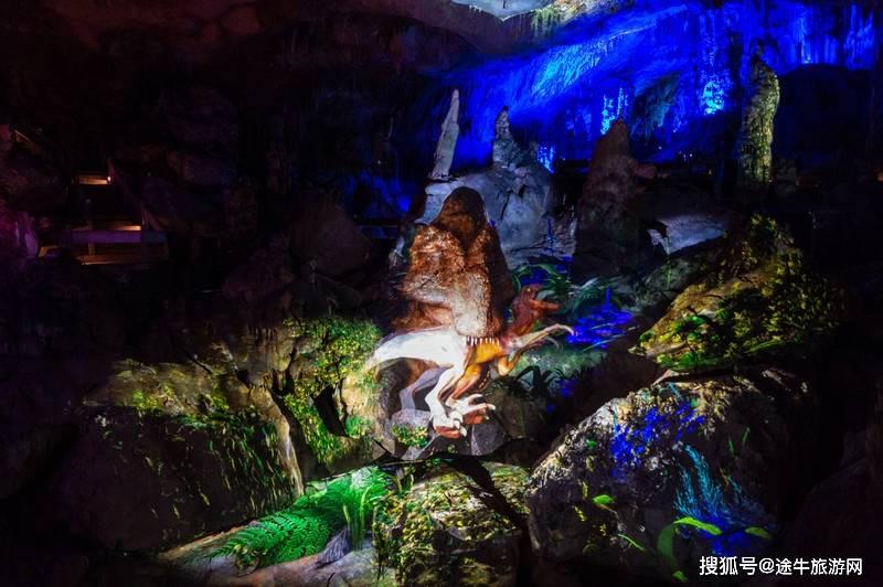 世界上最冷的地方在哪里游戏画面