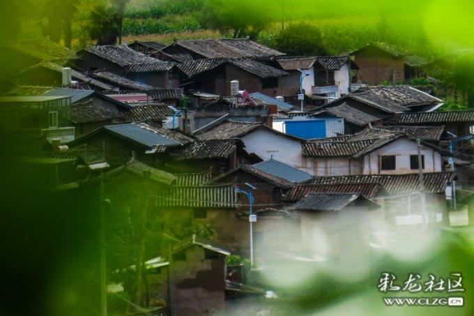 逃离惊魂鬼屋