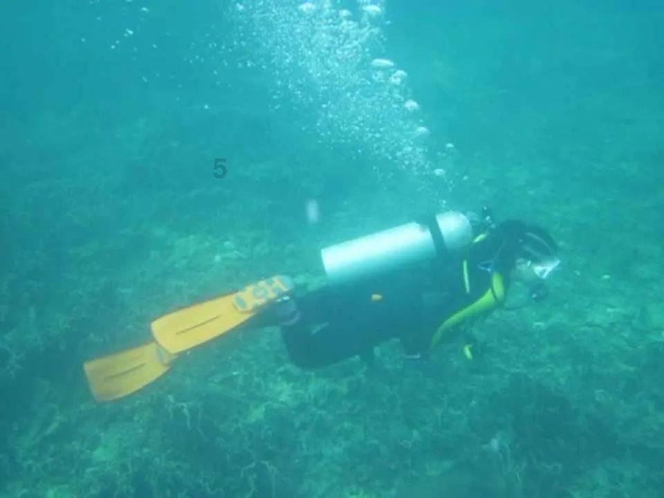 矿工打地鼠